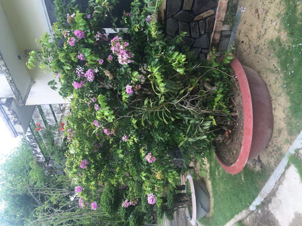 Dragon Bay Hotel Cam Lam المظهر الخارجي الصورة