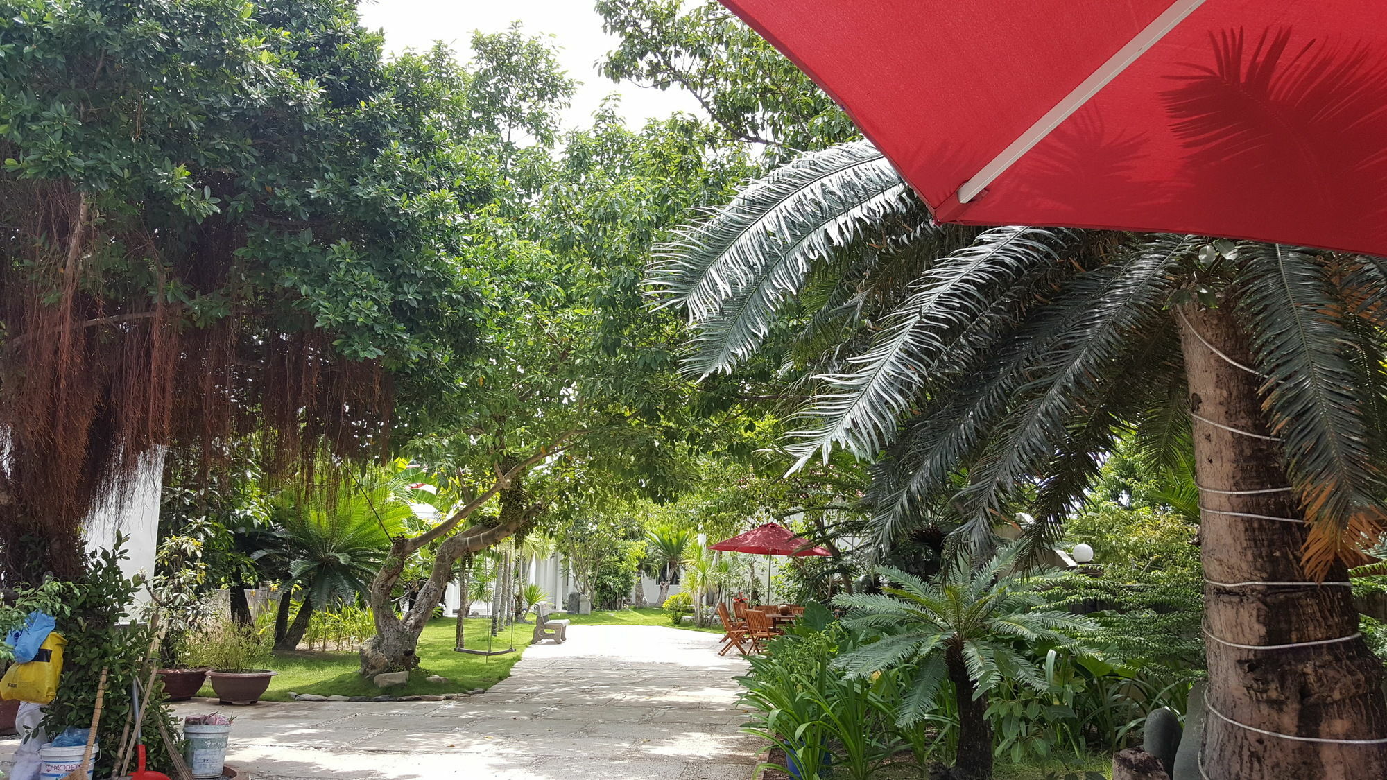 Dragon Bay Hotel Cam Lam المظهر الخارجي الصورة